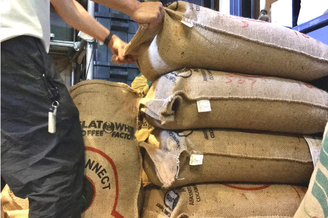コーヒーを買うなら、豆と粉どっちが良い?