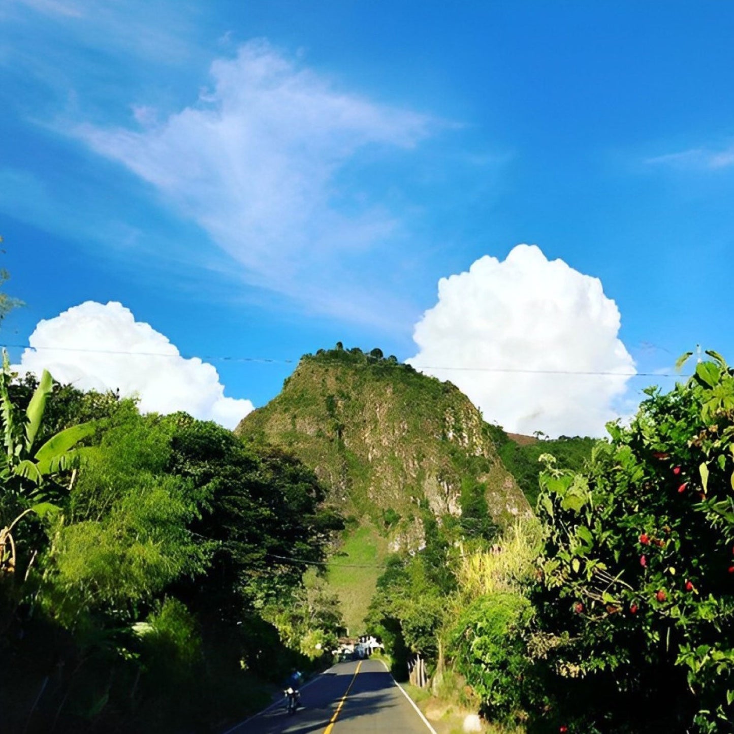 【マイルドコーヒー】グァテマラ ディカフェ