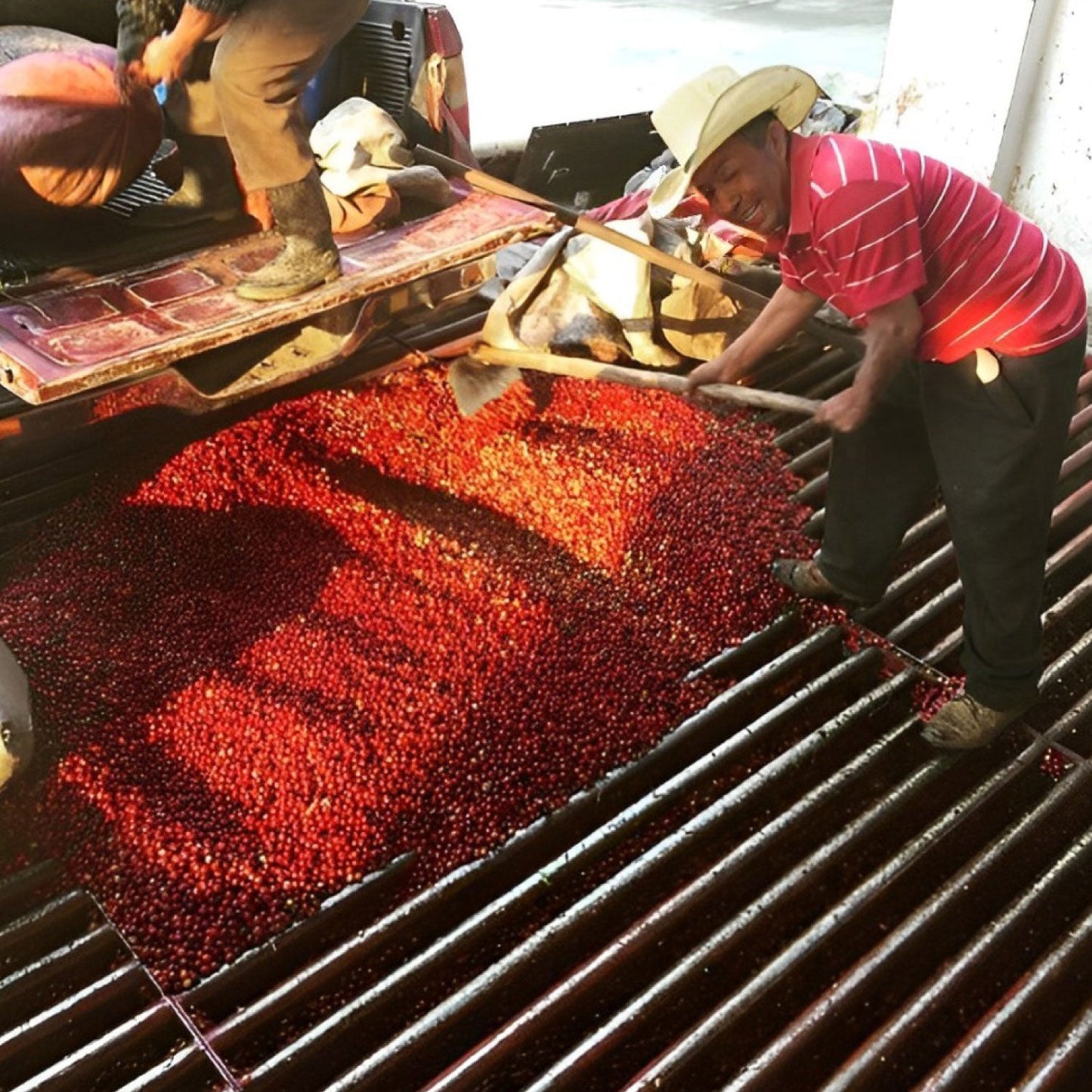 【マイルドコーヒー】グァテマラ ディカフェ