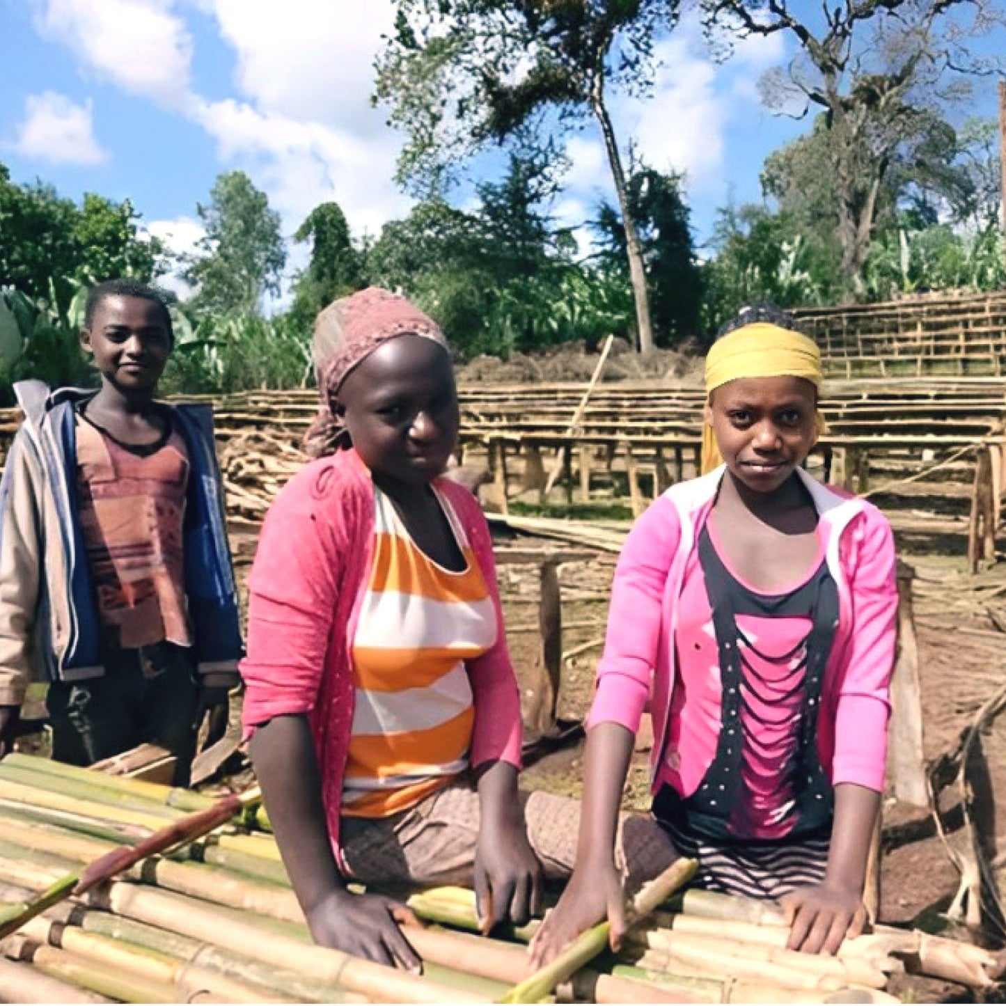 【フルーティーコーヒー】エチオピア グジ地区 バンティネンカ農園 ウォッシュド