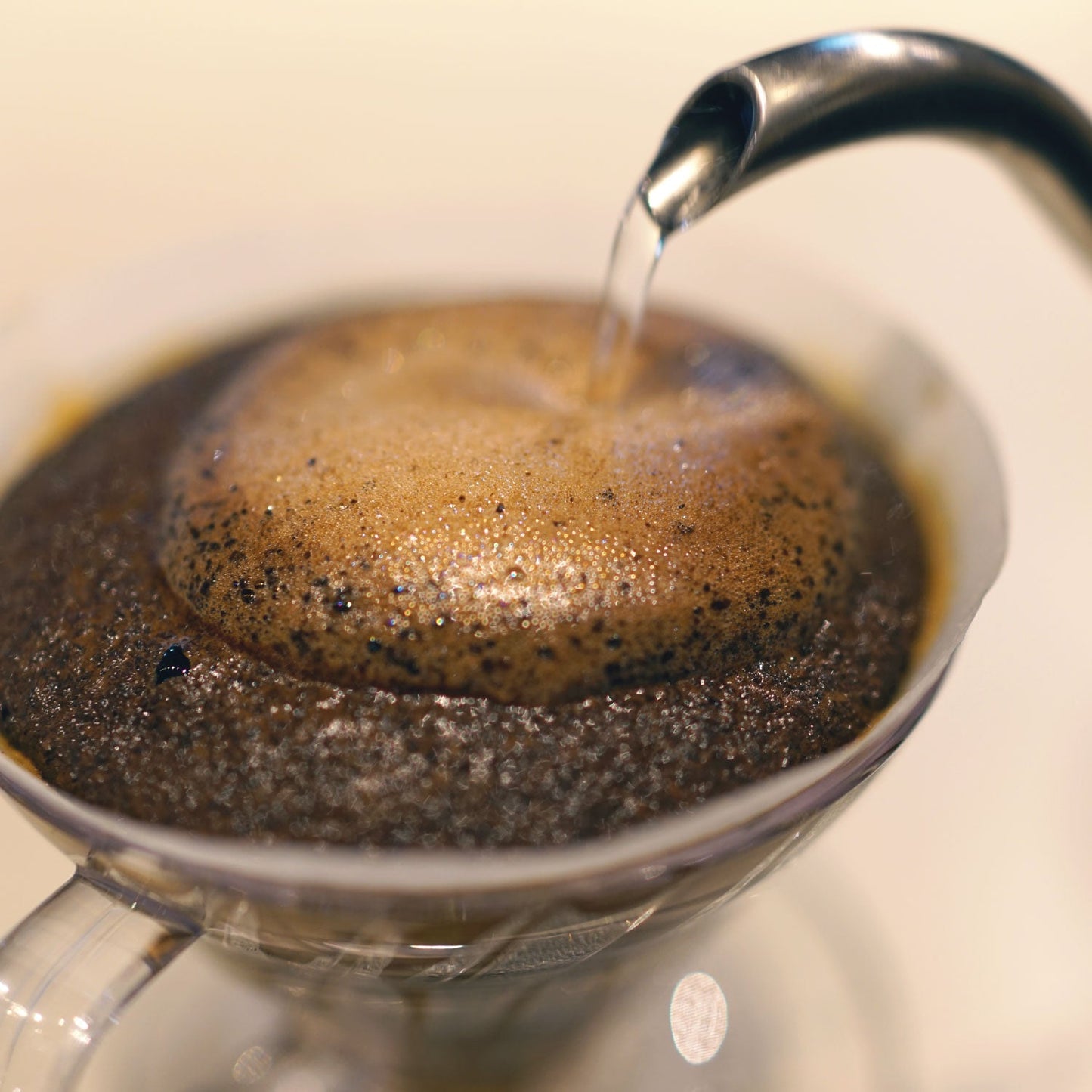 【マイルドコーヒー】タンザニア キリマンジャロネイティブ生産組合 ウォッシュド