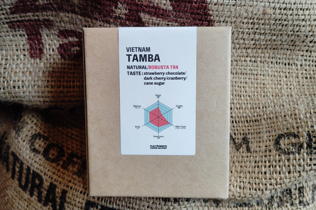 ベトナム タンバ農園 ファインロブスタ種 ナチュラル登場