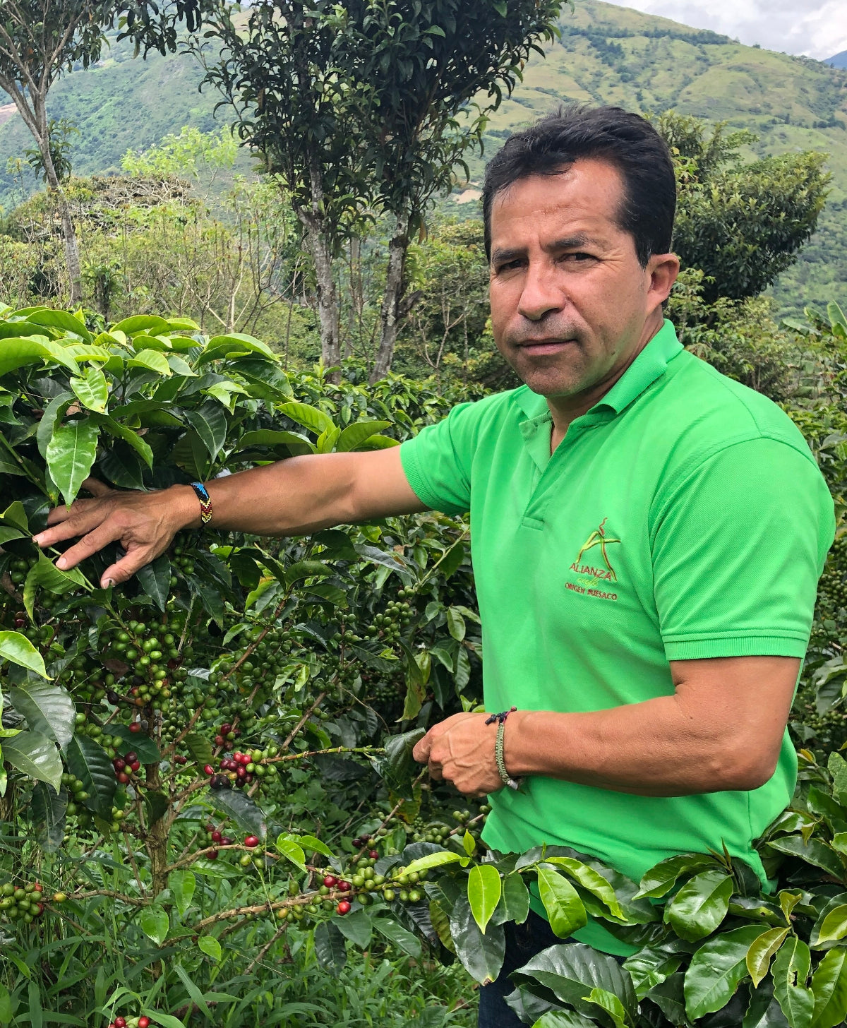 【ビターコーヒー】コロンビア エル・アルト農園 ウォッシュド