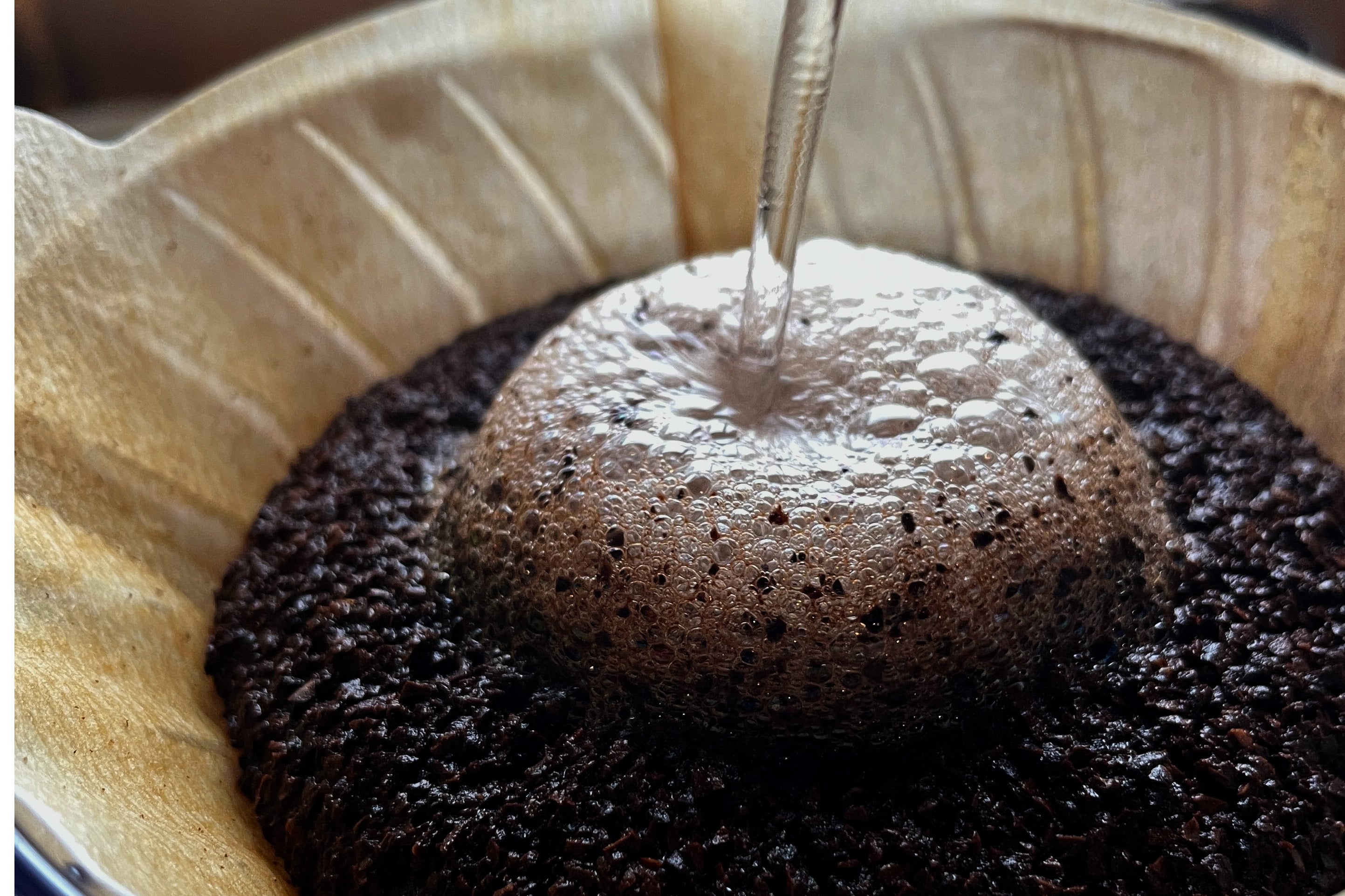 深煎りコーヒーがビギナーにおすすめ